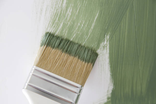Edinburgh, IN Mold Removal Company