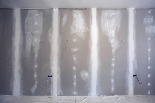 Trusted Edinburgh, IN Mold Removal Experts